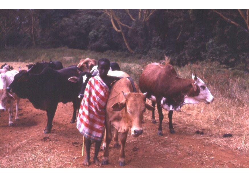 Foto pastor en kenia