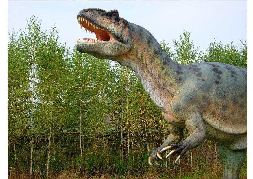 Foto rA©plica de allosaurus