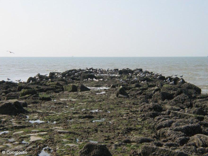 Foto rompeolas