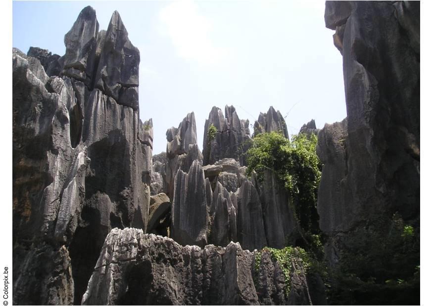 Foto selva de piedra kunming