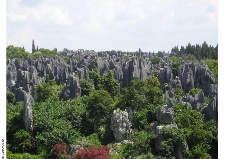 Foto selva de piedra kunming