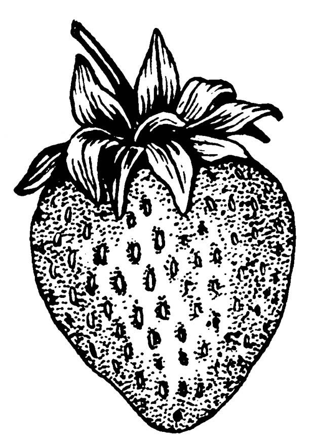 fresa Dibujo para colorear fresa