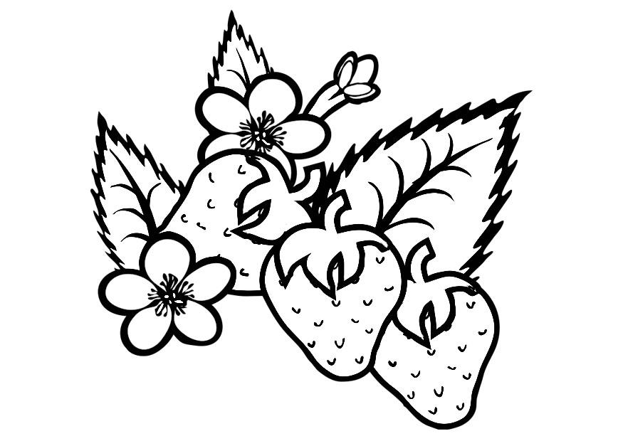 fresas Dibujo para colorear fresas