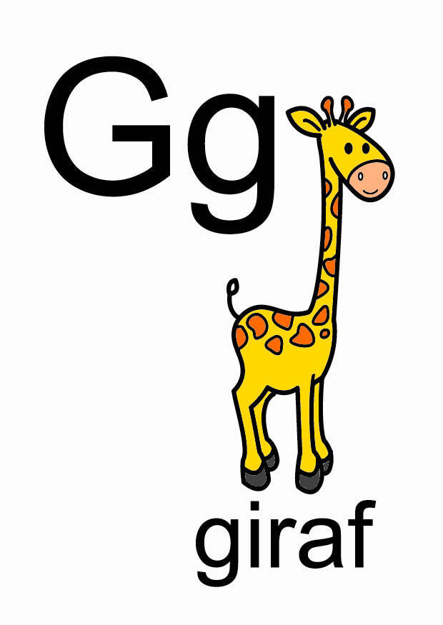 g Imagen g