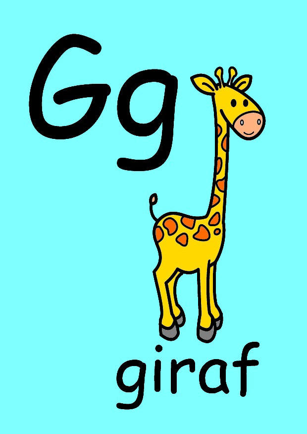 g Imagen g