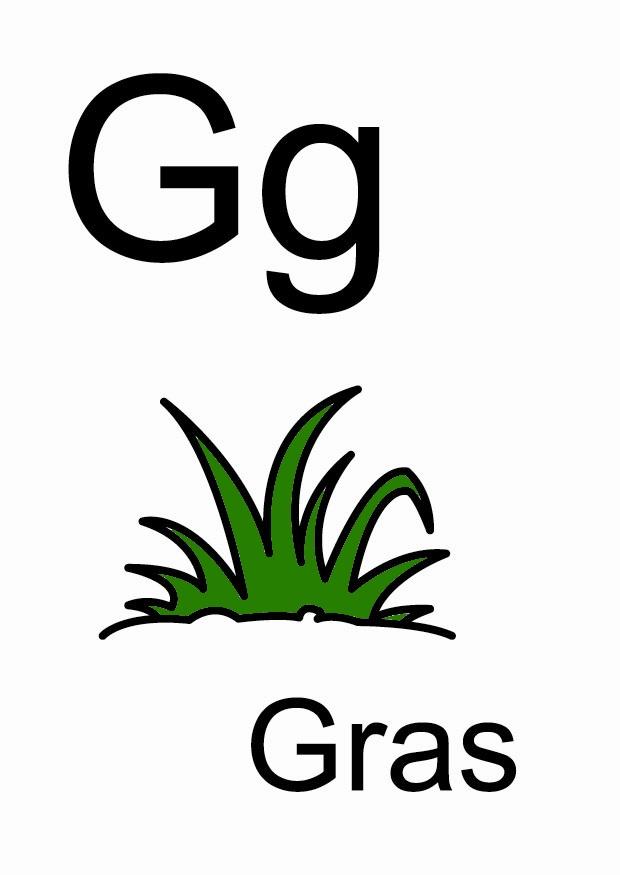 g Imagen g