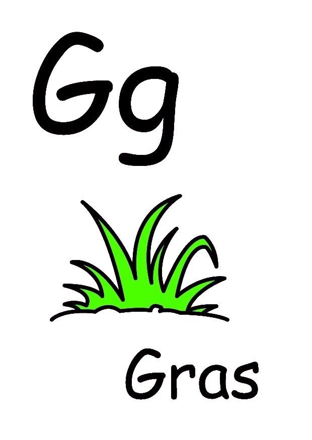 g Imagen g