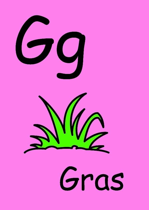 g Imagen g