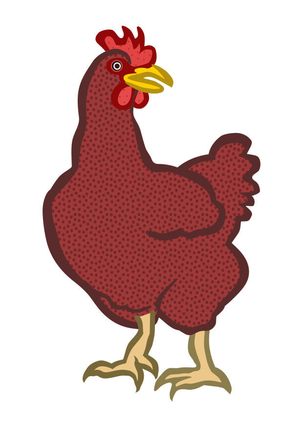 gallina Imagen gallina