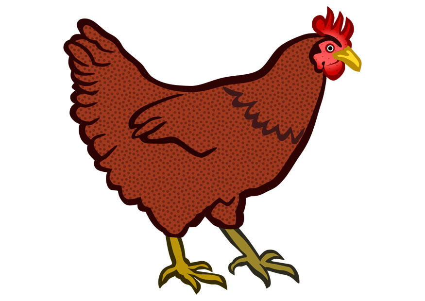gallina Imagen gallina