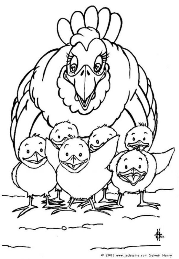Dibujo para colorear gallina y polluelos