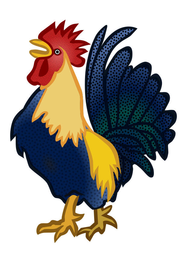 Imagen gallo