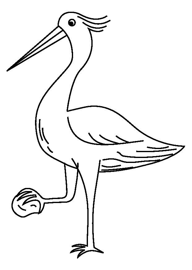 garza Dibujo para colorear garza