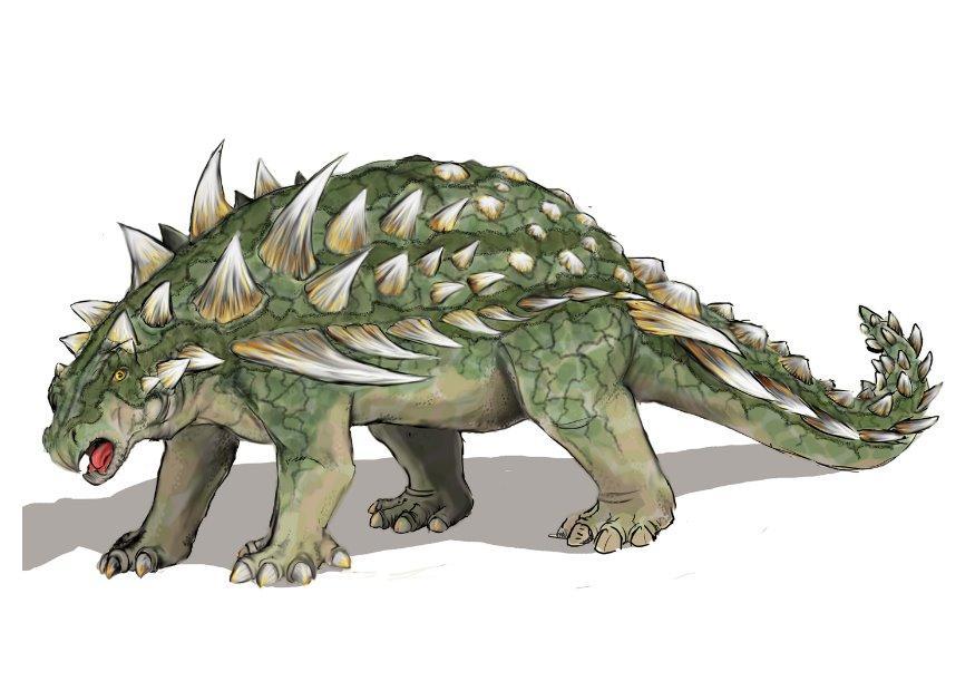 gastonia burgei Imagen gastonia burgei