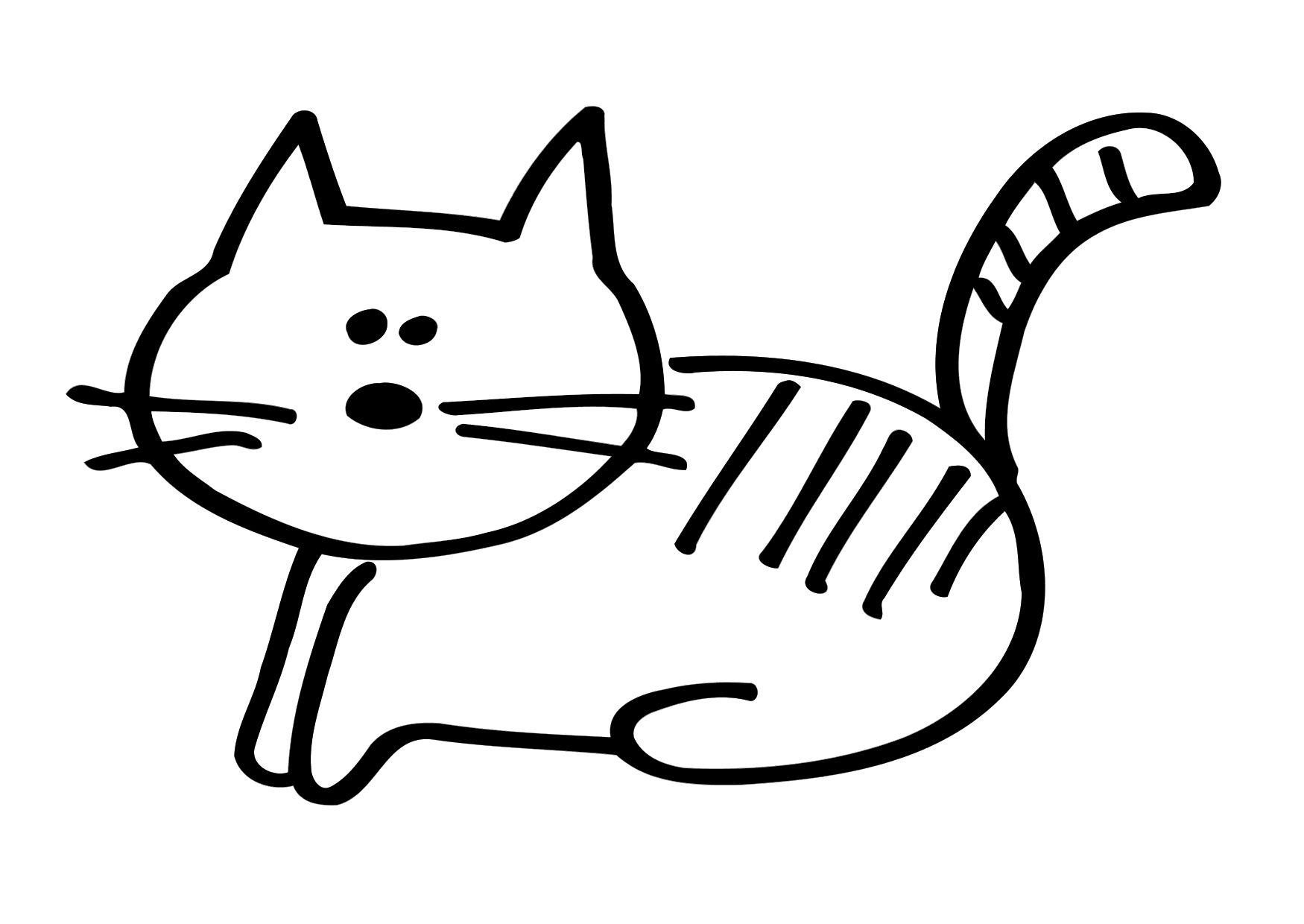 gato Dibujo para colorear gato