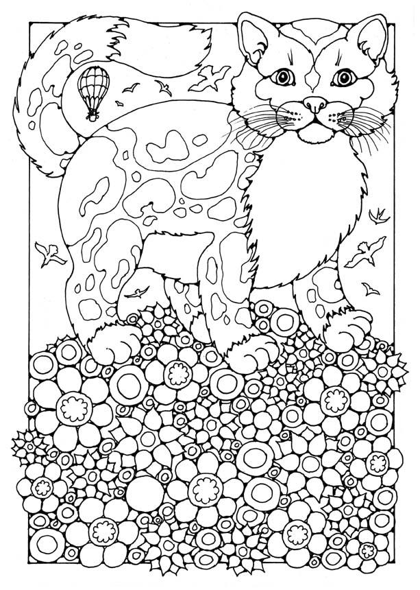 Dibujo para colorear gato