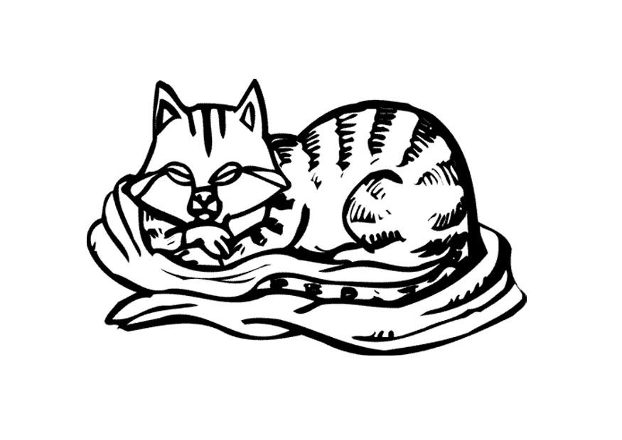 gato Dibujo para colorear gato