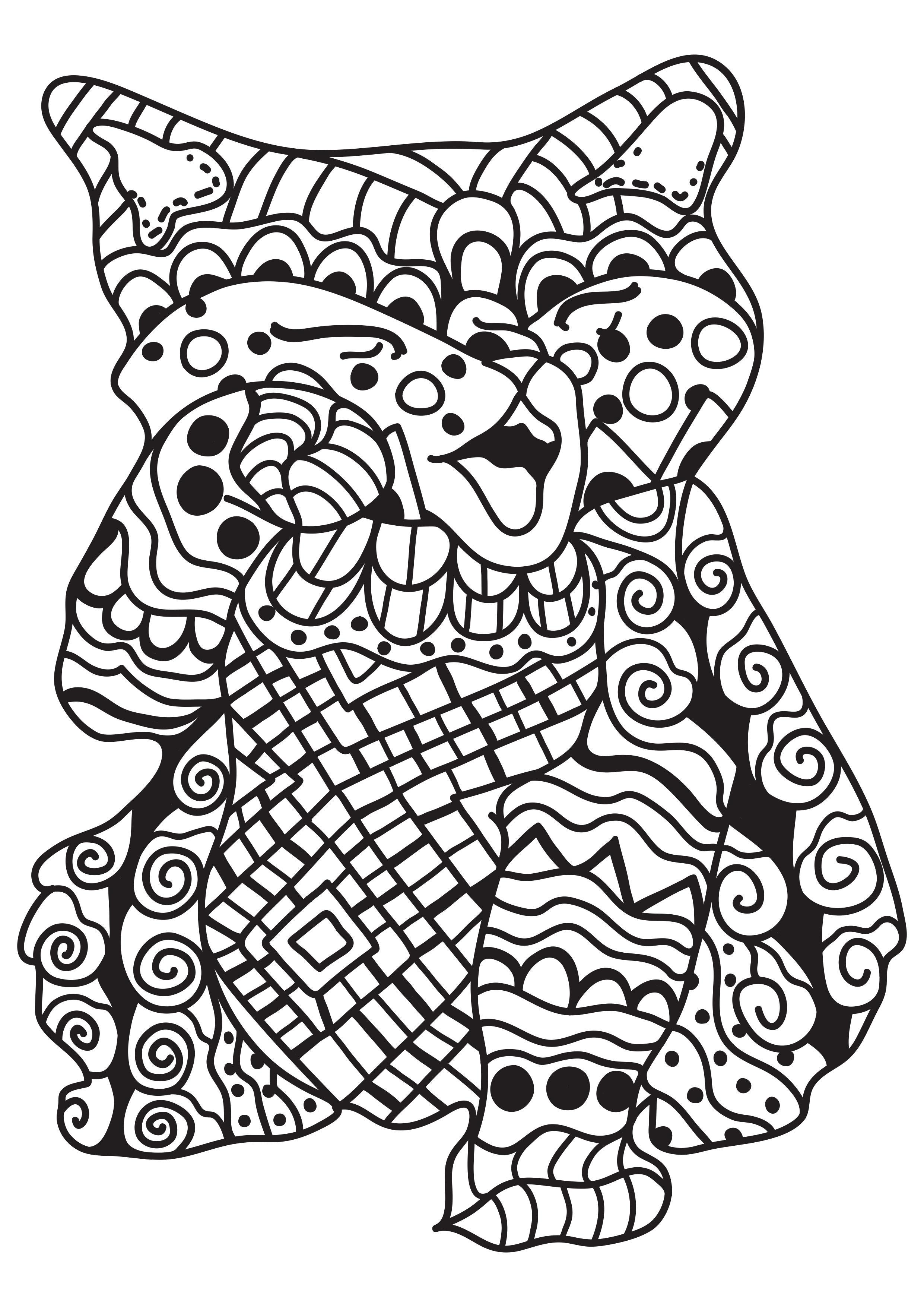 gato Dibujo para colorear gato