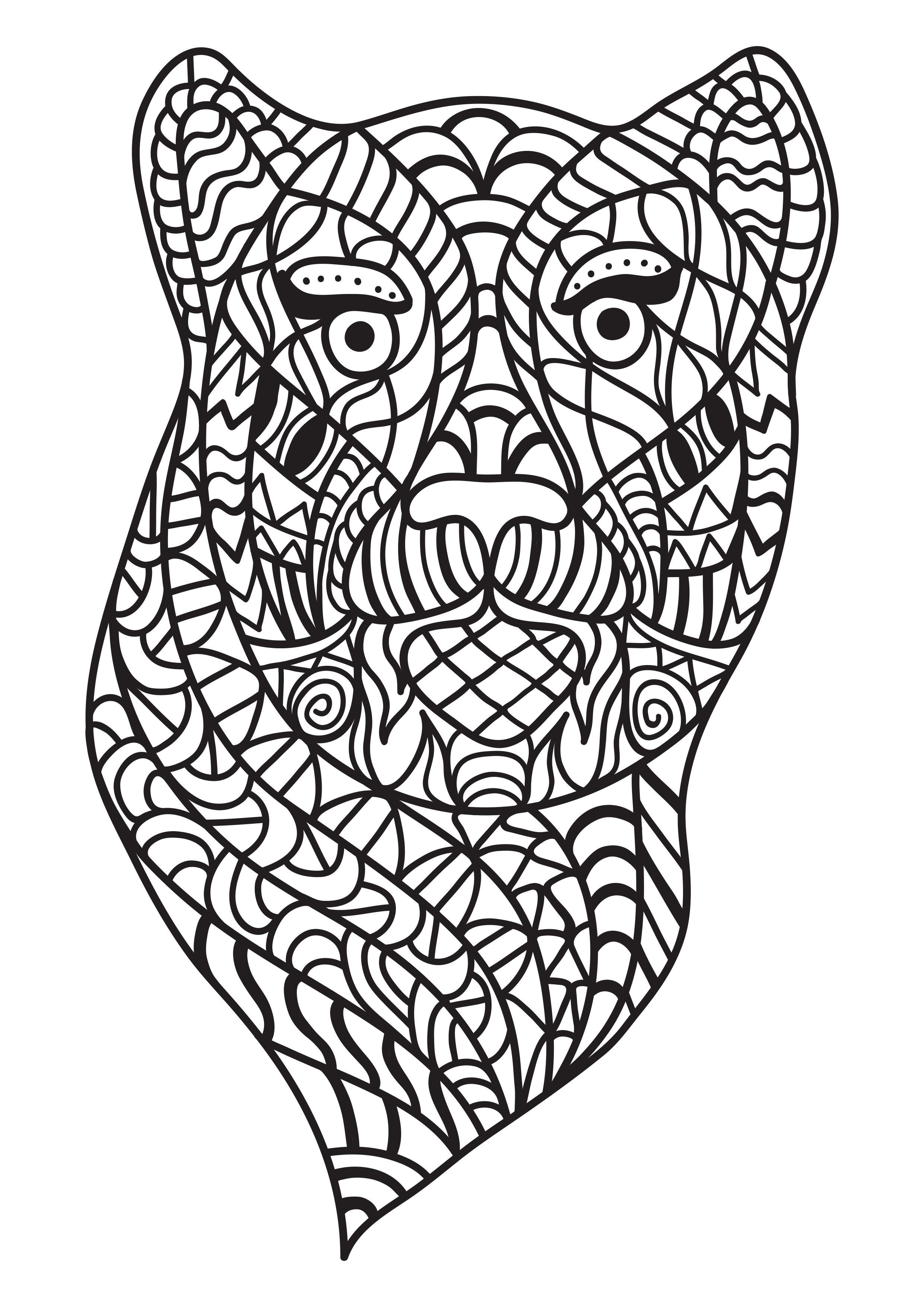 gato Dibujo para colorear gato