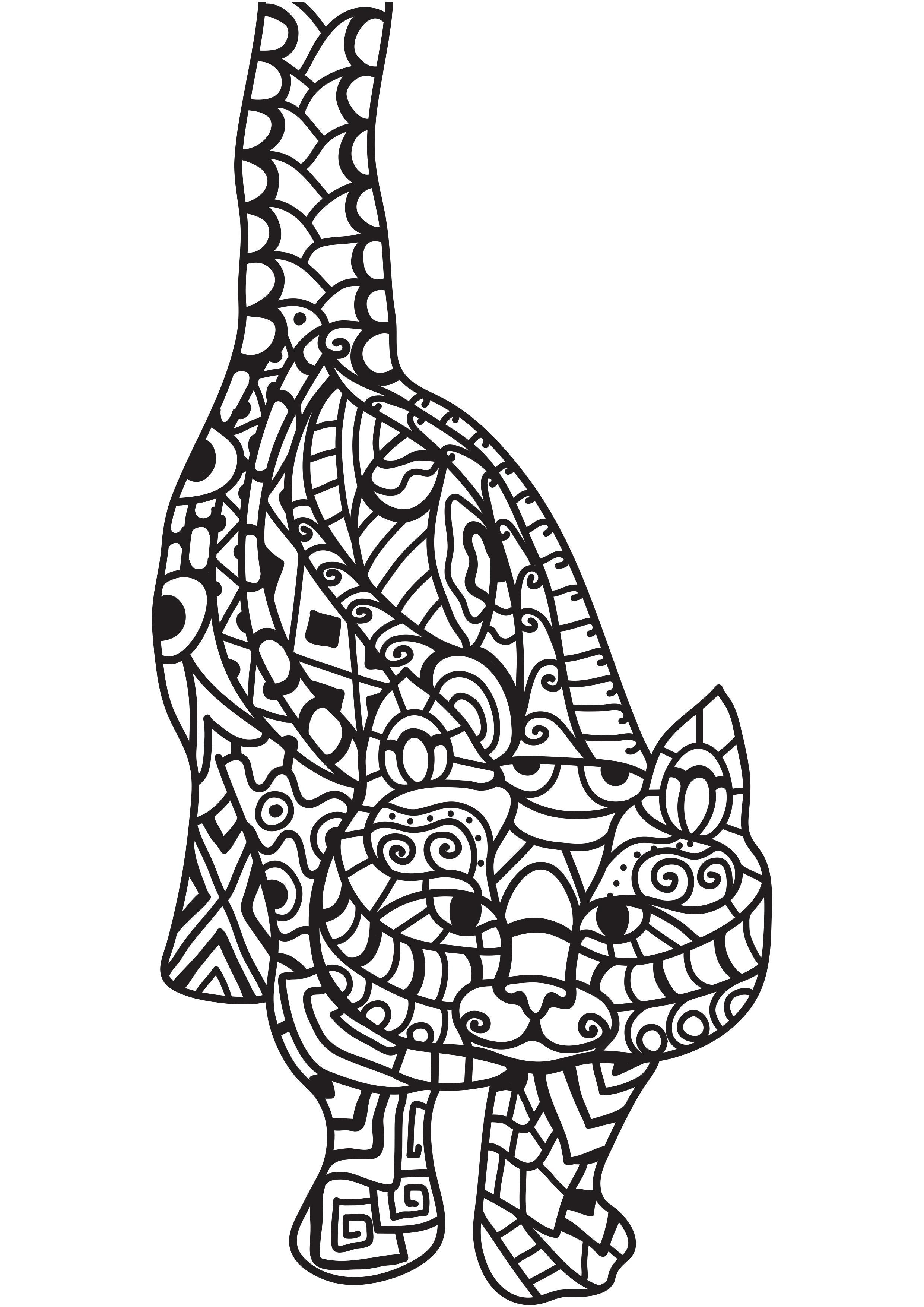 gato Dibujo para colorear gato