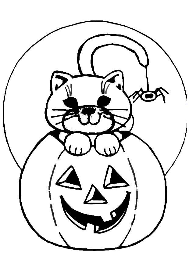 Dibujo para colorear gato