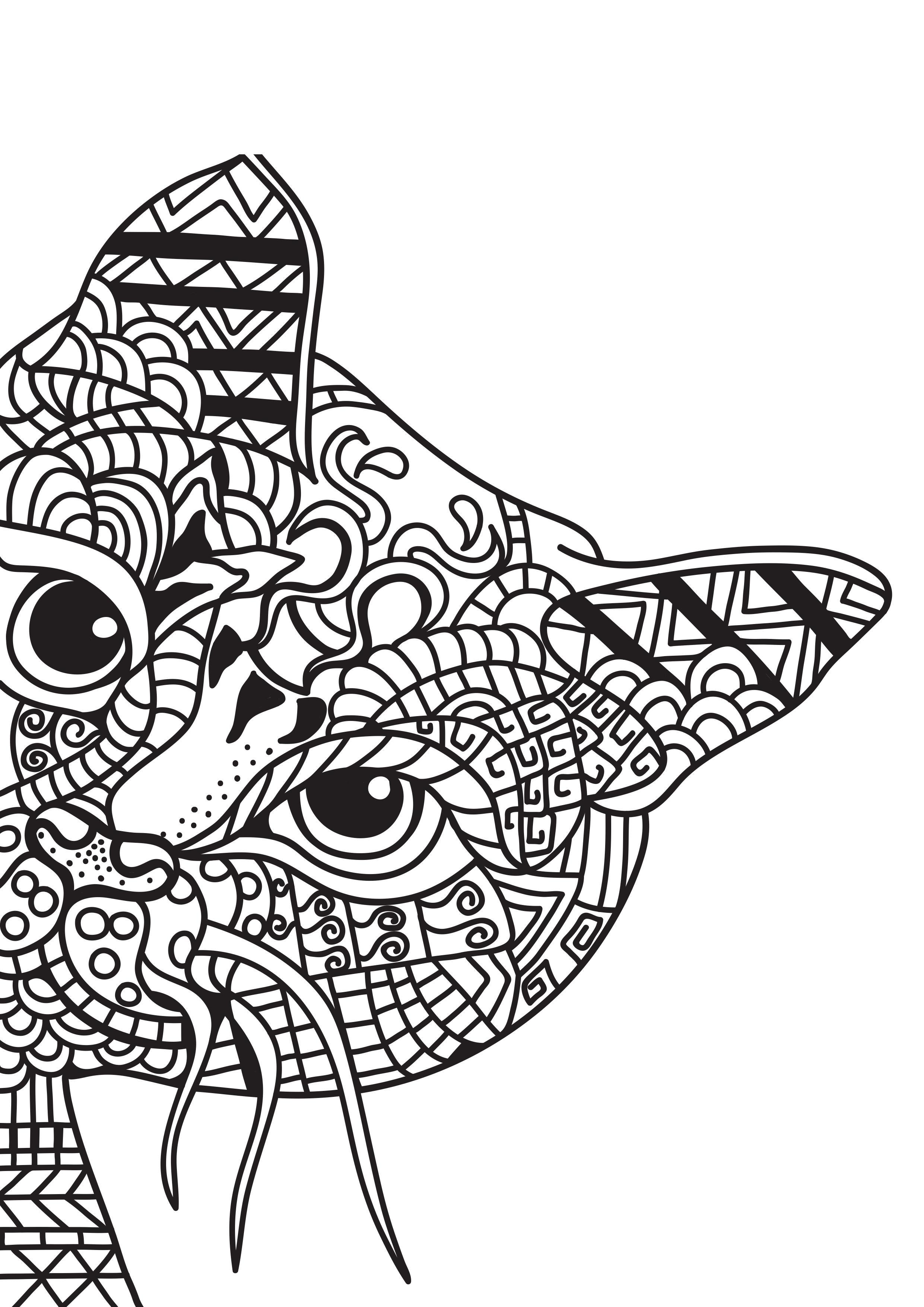 gato se esconde Dibujo para colorear gato se esconde