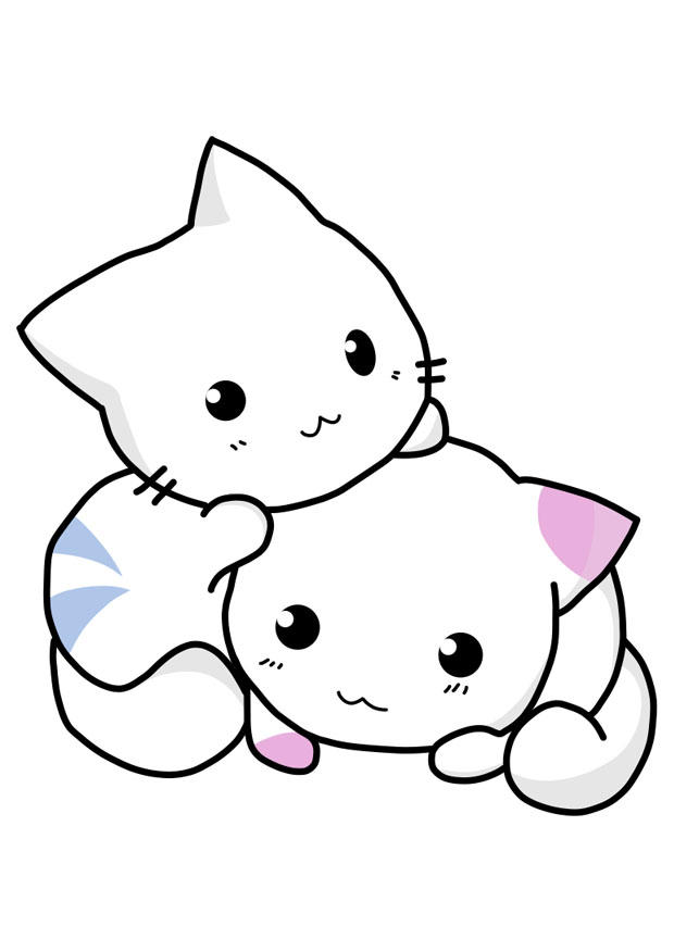 gatos Imagen gatos