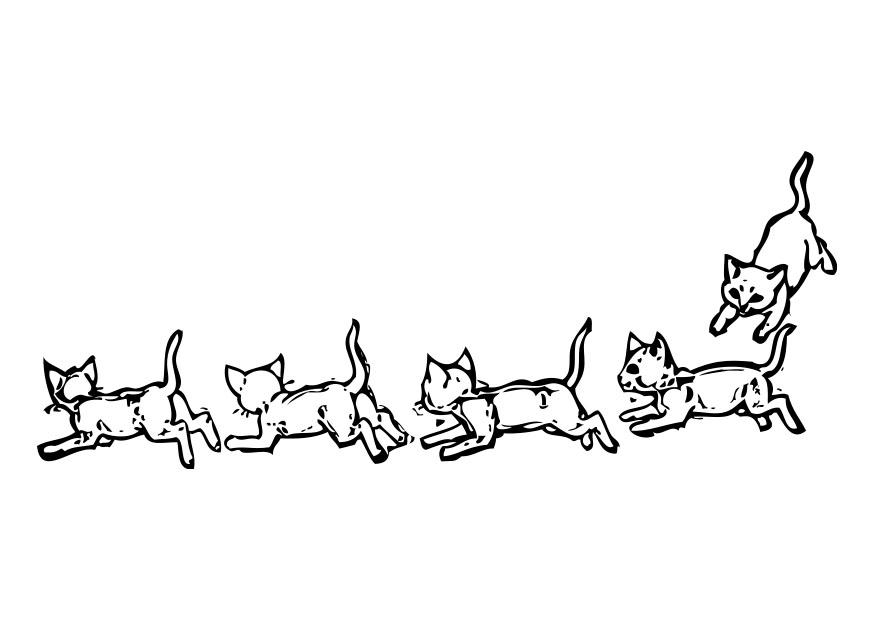 gatos Dibujo para colorear gatos
