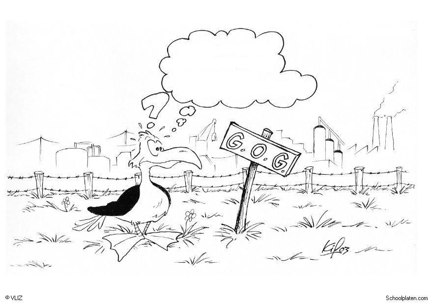 gaviota en fA¡brica Dibujo para colorear gaviota en fA¡brica