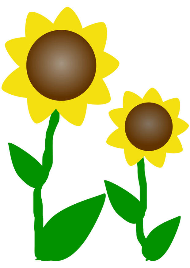 girasoles Imagen girasoles