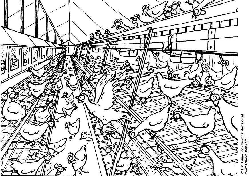 Dibujo para colorear granja de gallinas