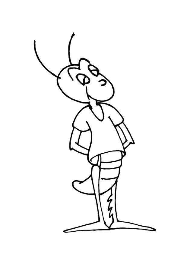 grillo Dibujo para colorear grillo