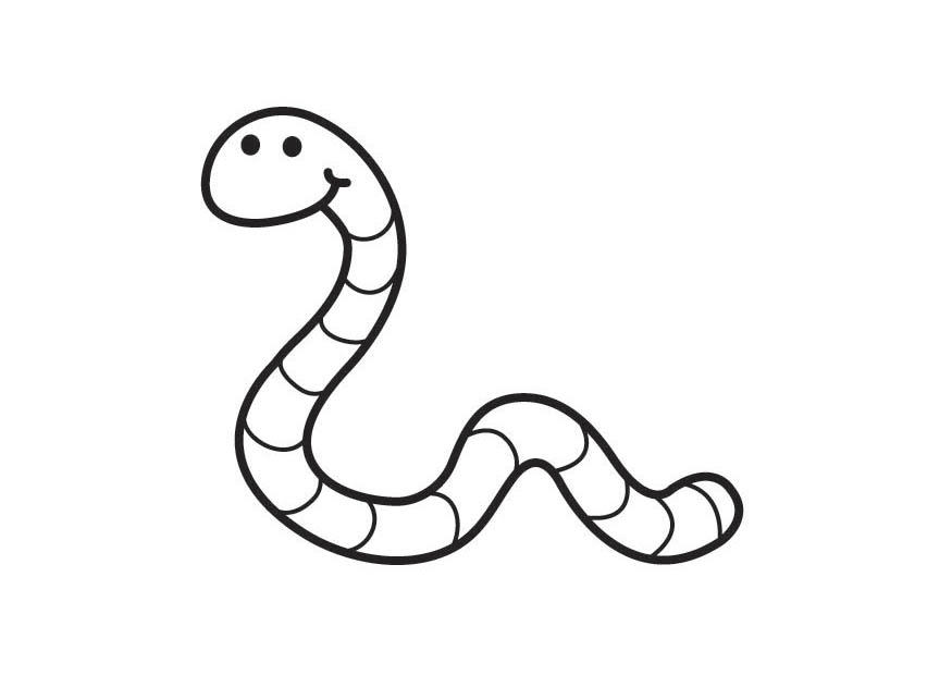 gusano Dibujo para colorear gusano
