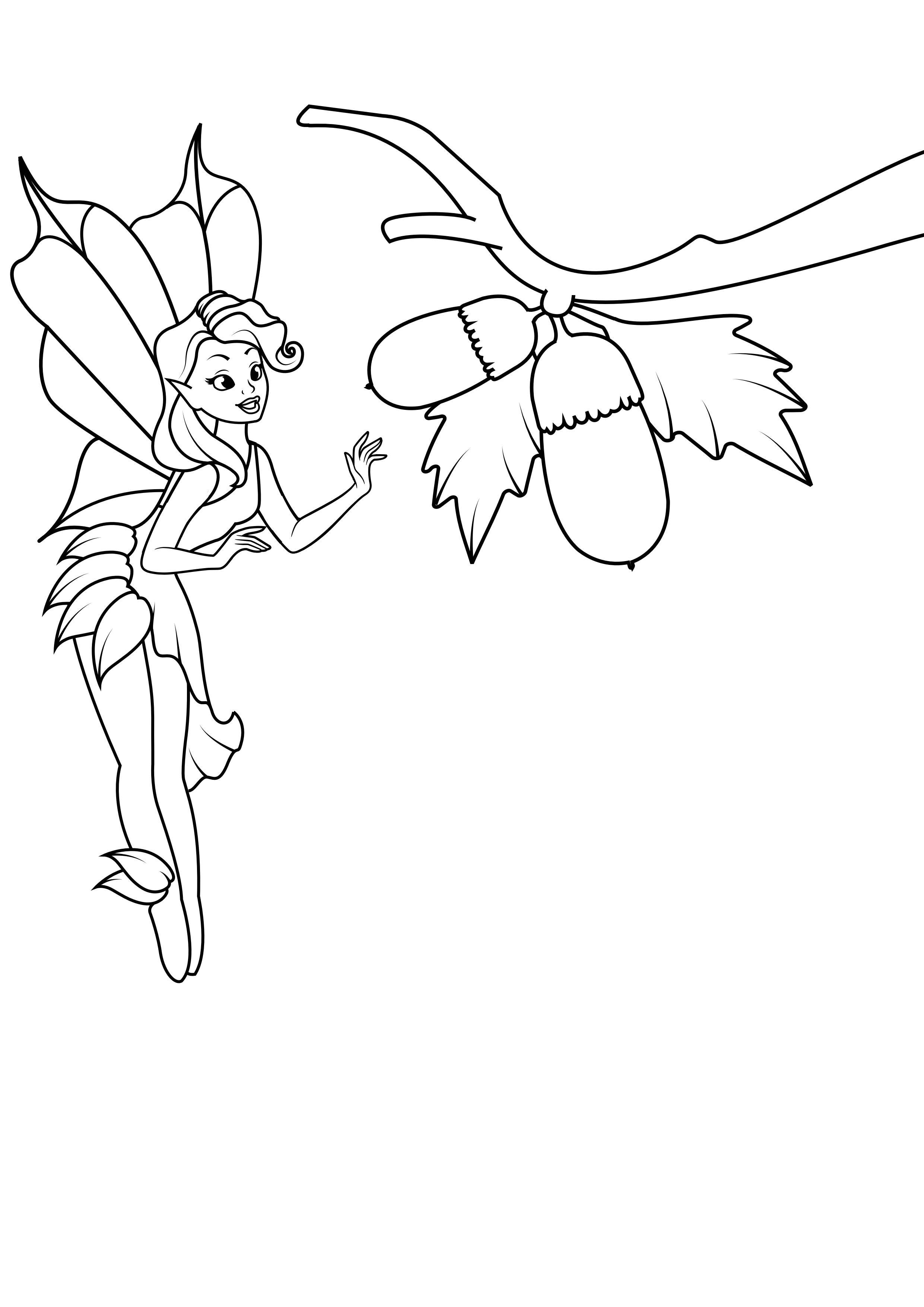 hada de bellota Dibujo para colorear hada de bellota
