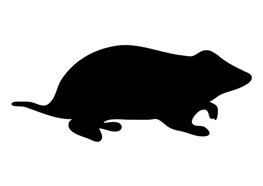 hamster Dibujo para colorear hamster
