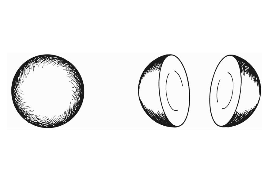 Dibujo para colorear hemisferio - semicircular