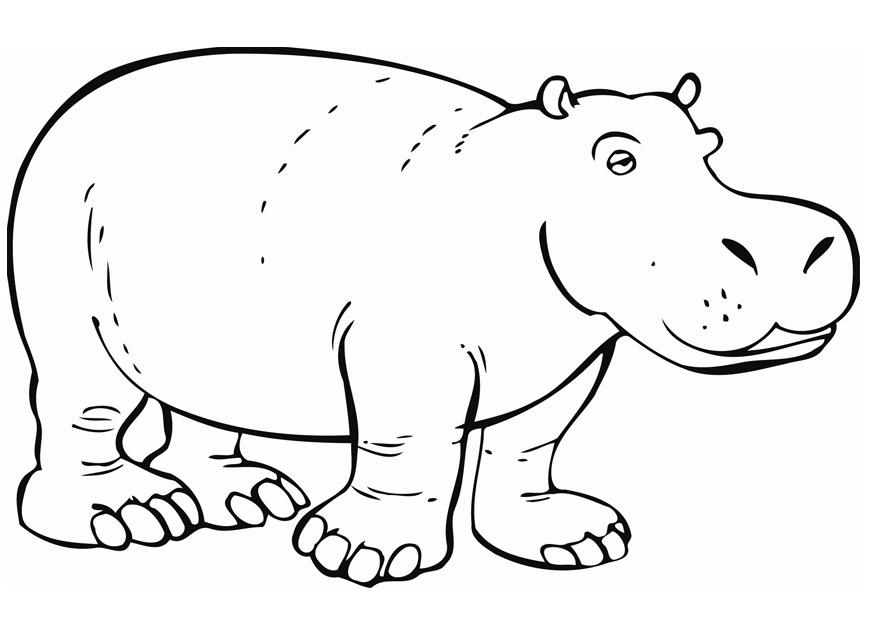 Dibujo para colorear hipopA³tamo