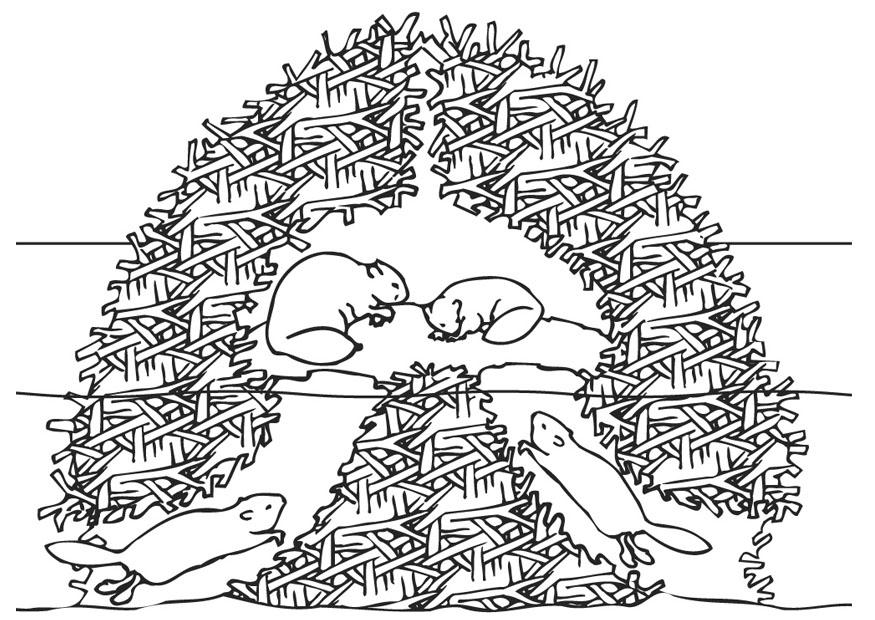 hogar de los castores Dibujo para colorear hogar de los castores