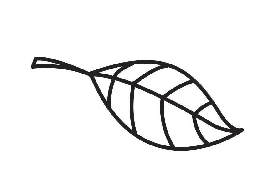 hoja Dibujo para colorear hoja