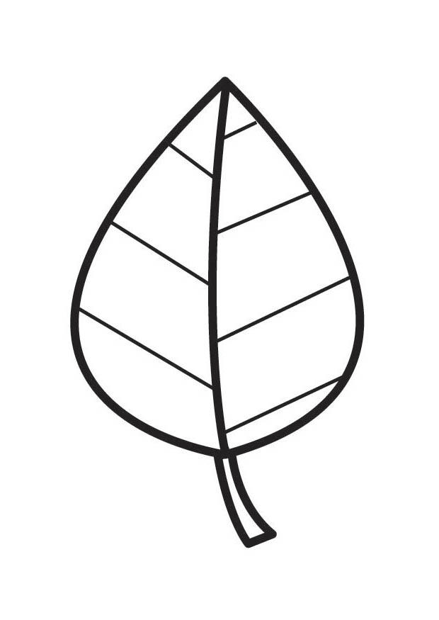 hoja Dibujo para colorear hoja