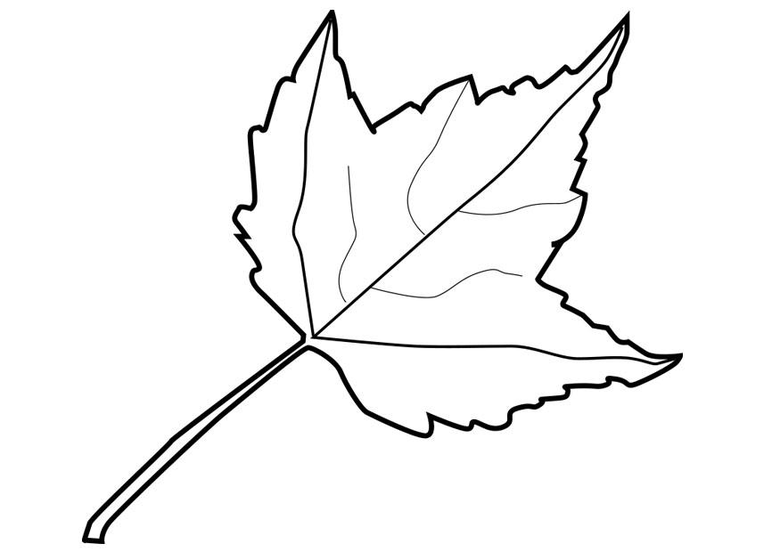 hoja Dibujo para colorear hoja