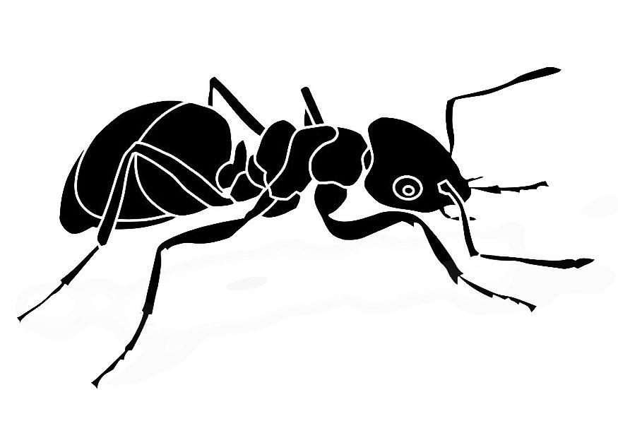 hormiga Dibujo para colorear hormiga
