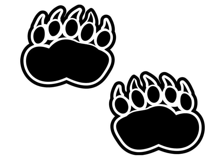 huella de oso Dibujo para colorear huella de oso