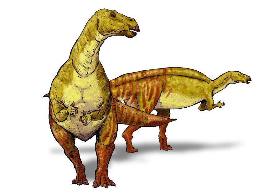 iguanodont Imagen iguanodont