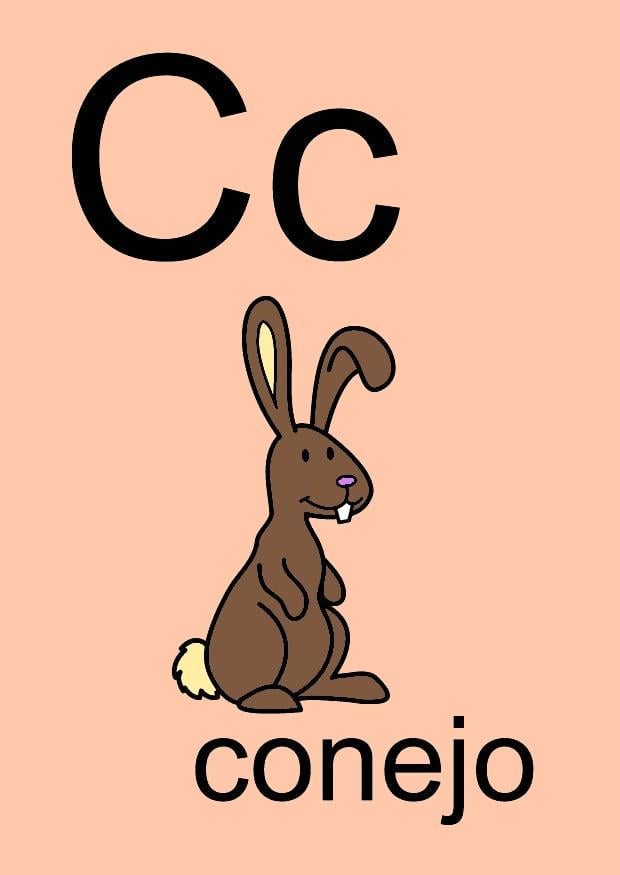 Imagen c