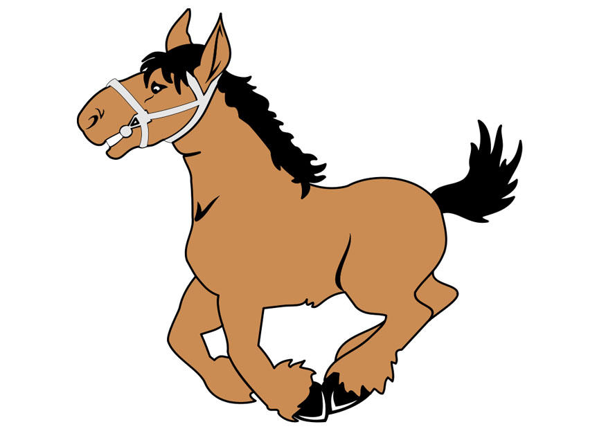 Imagen caballo