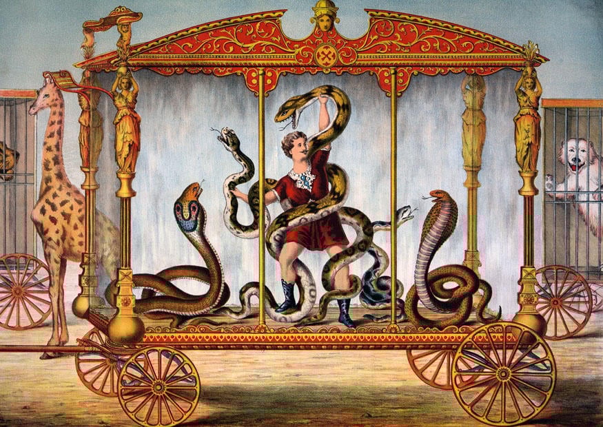Imagen circo