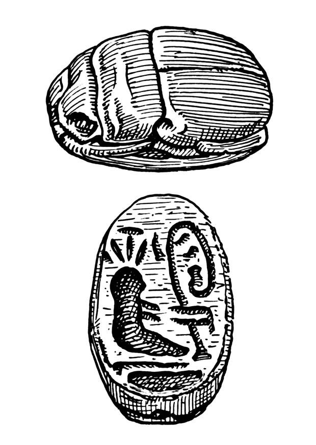 imagen de escarabajo Dibujo para colorear imagen de escarabajo