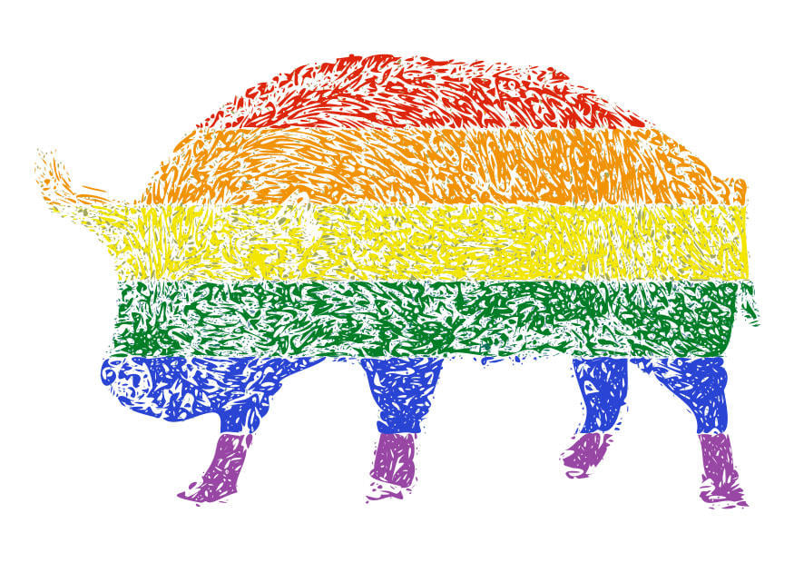 Imagen derechos de los animales