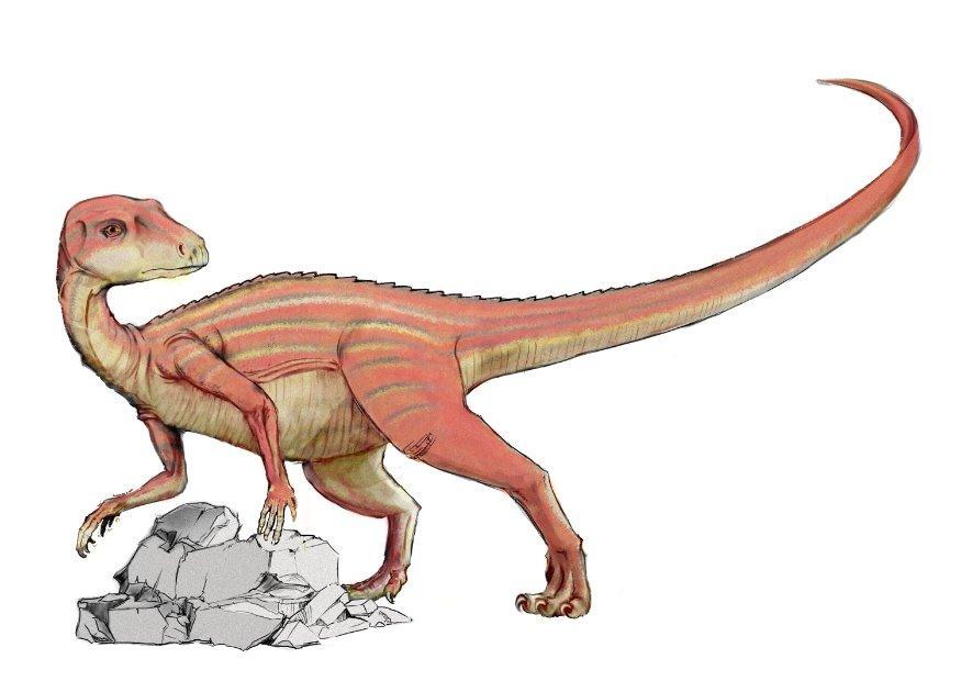 Imagen dinosaurio abrictosaurus
